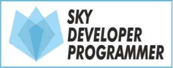 SKY Developer Programmer